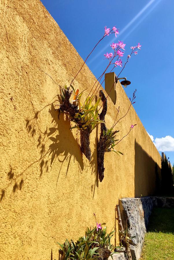 Sandunga Cabanas Boutique Tzintzuntzán المظهر الخارجي الصورة